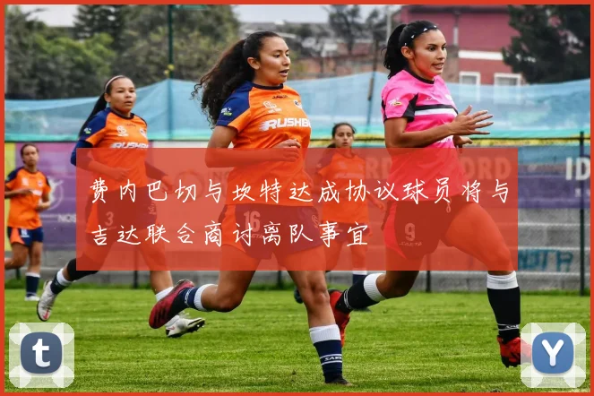 费内巴切与坎特达成协议球员将与吉达联合商讨离队事宜